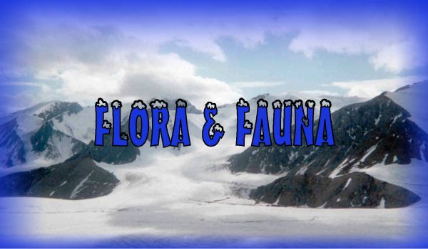 Flora y fauna